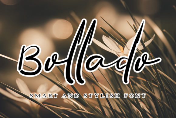 Bollado Font: A Handwritten Typeface for Professional Branding