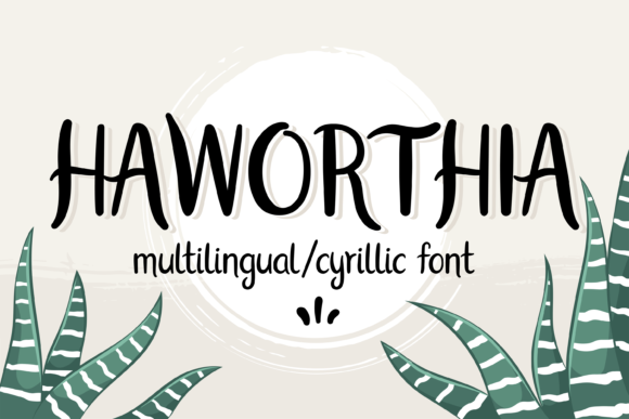 Haworthia Font for Professional Branding