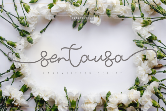 Sentausa Font: A Stylish Typeface for Modern Campaigns